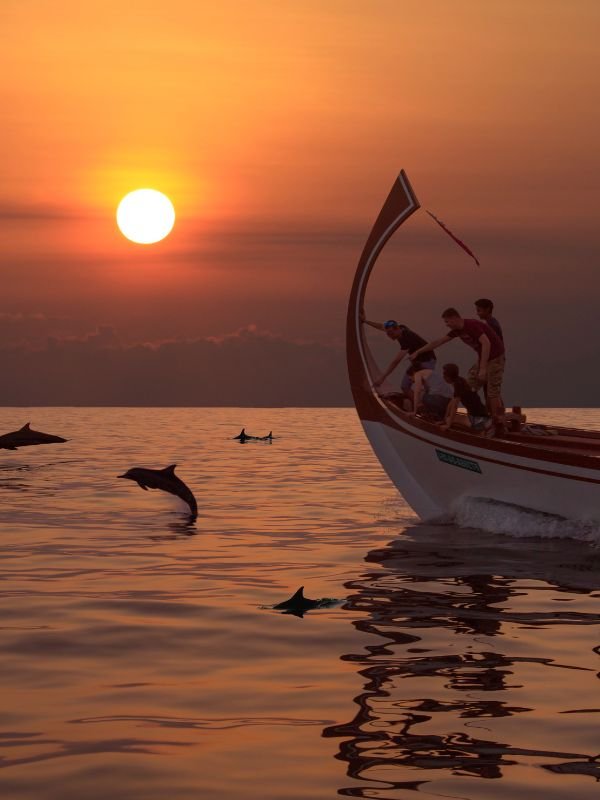 Resort infinity pool