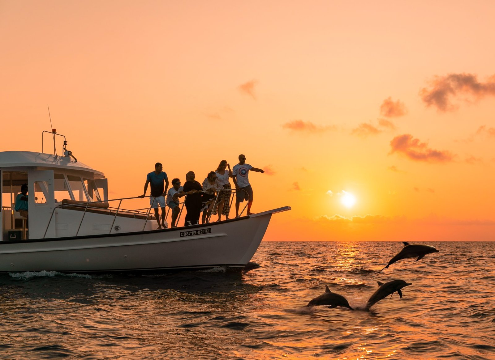 Sunset Dolphin Cruise