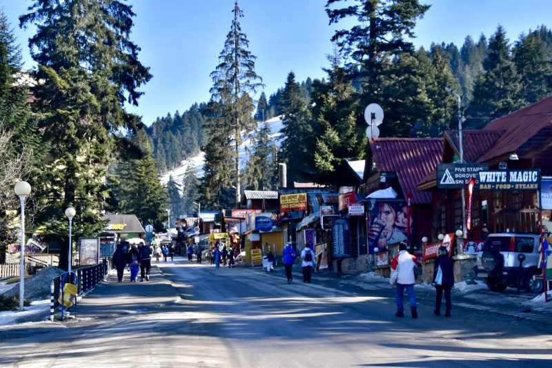 Borovets forest & slopes