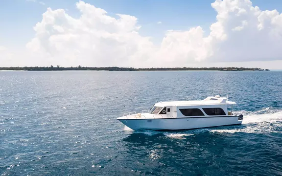 Luxury speedboat transfer